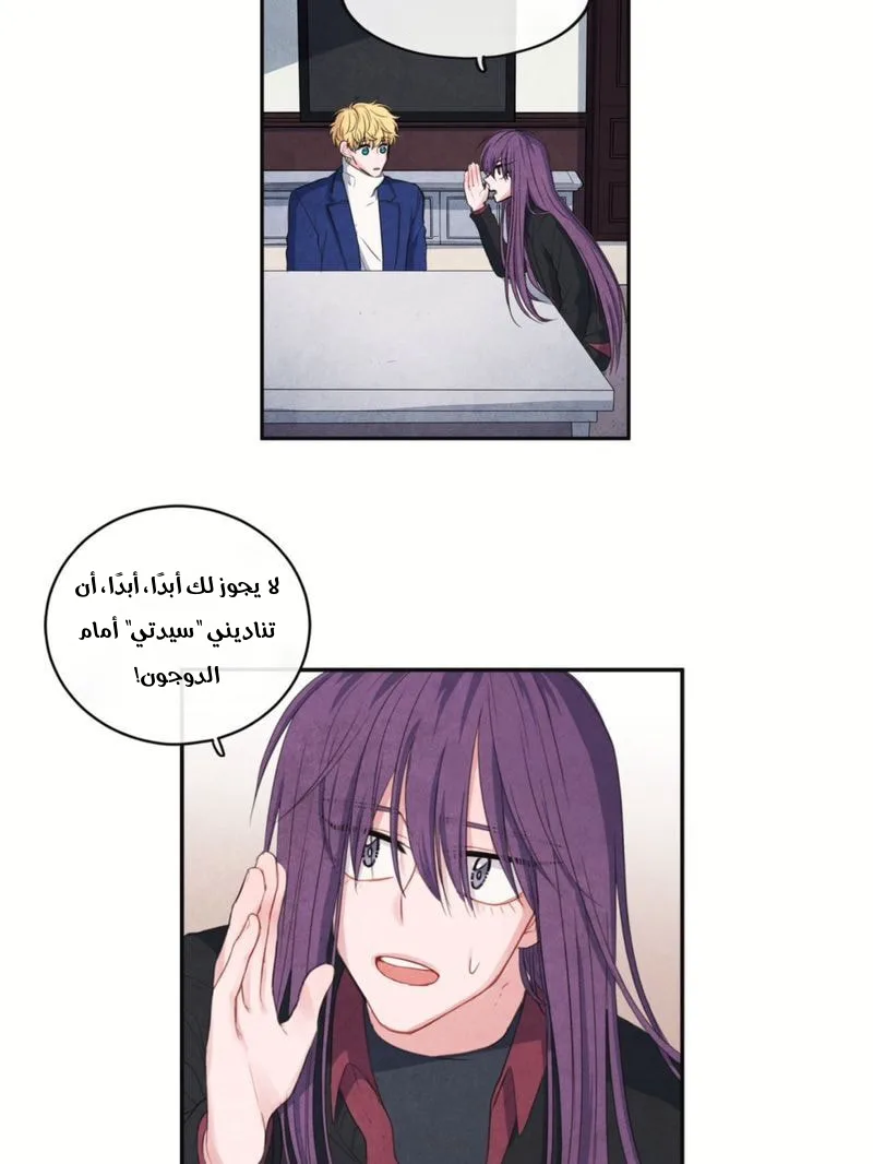 الصفحة 17