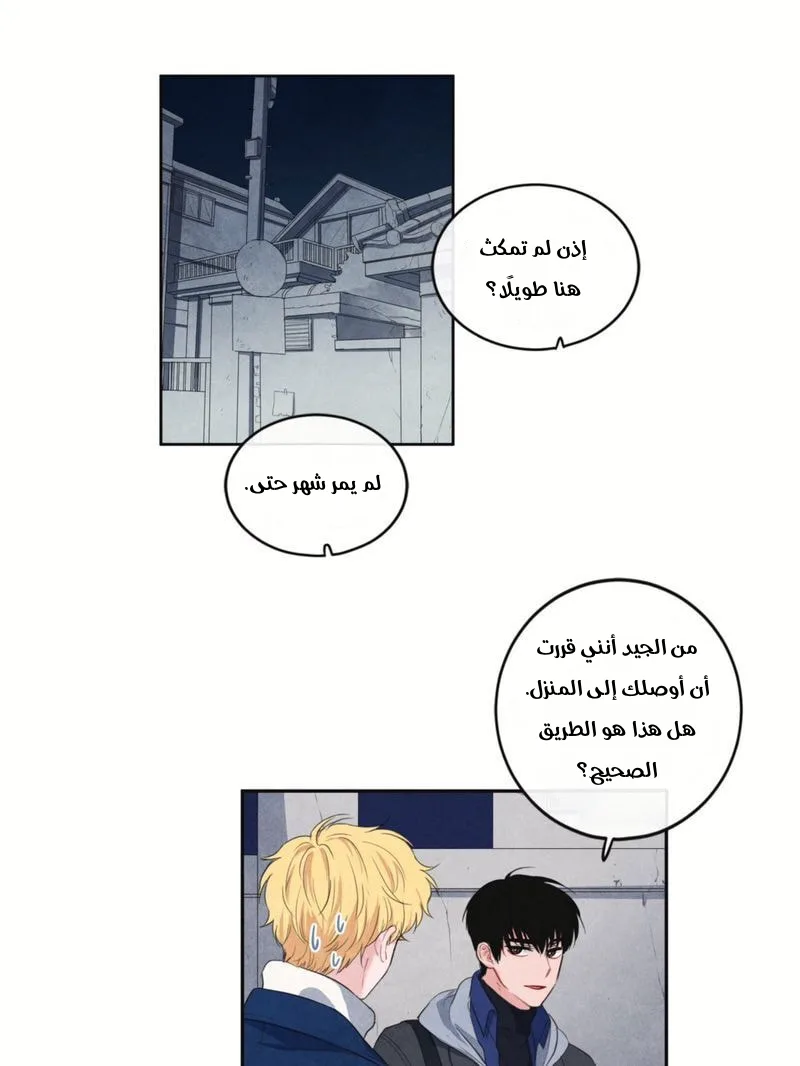 الصفحة 28