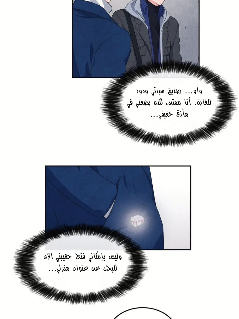 الصفحة 29