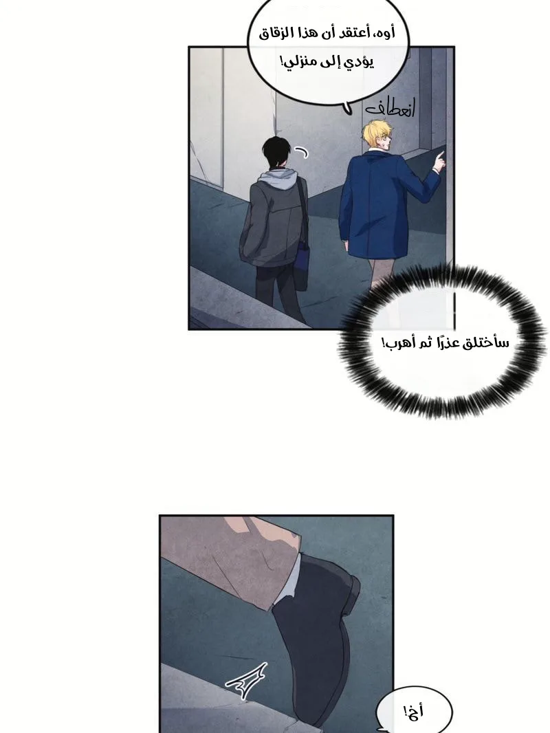 الصفحة 30