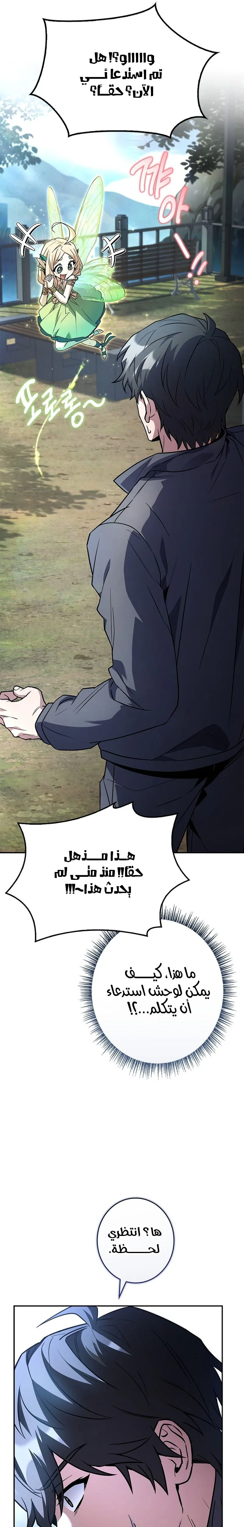 الصفحة 13