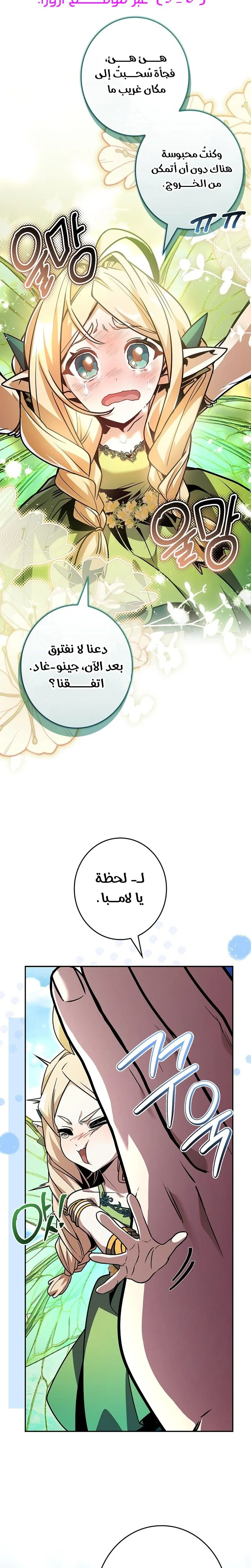 الصفحة 20