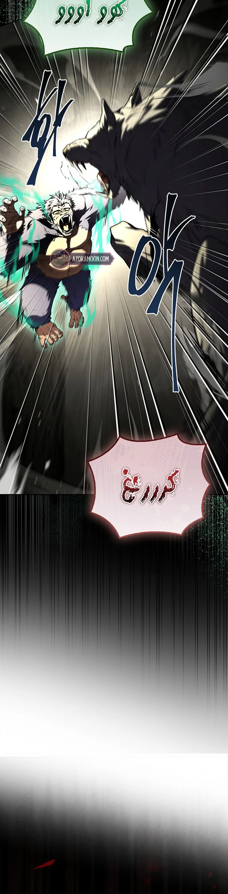 الصفحة 17