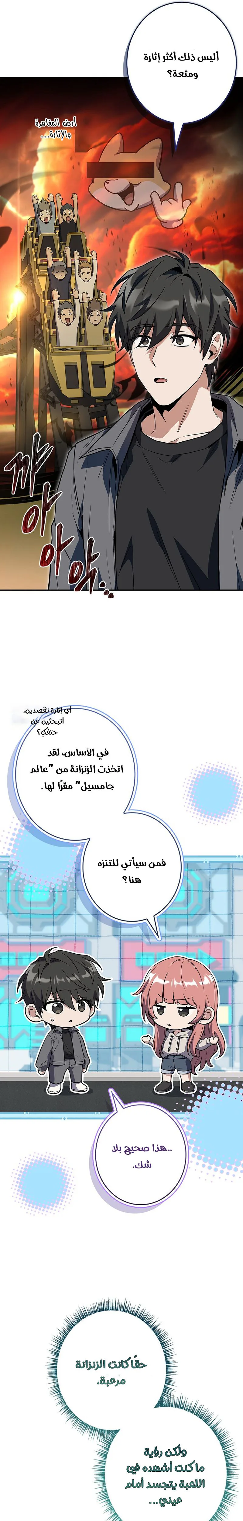 الصفحة 13
