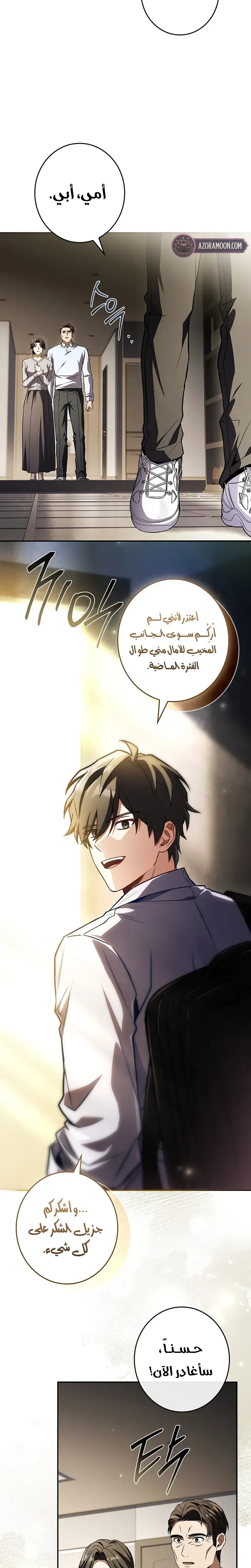 الصفحة 17