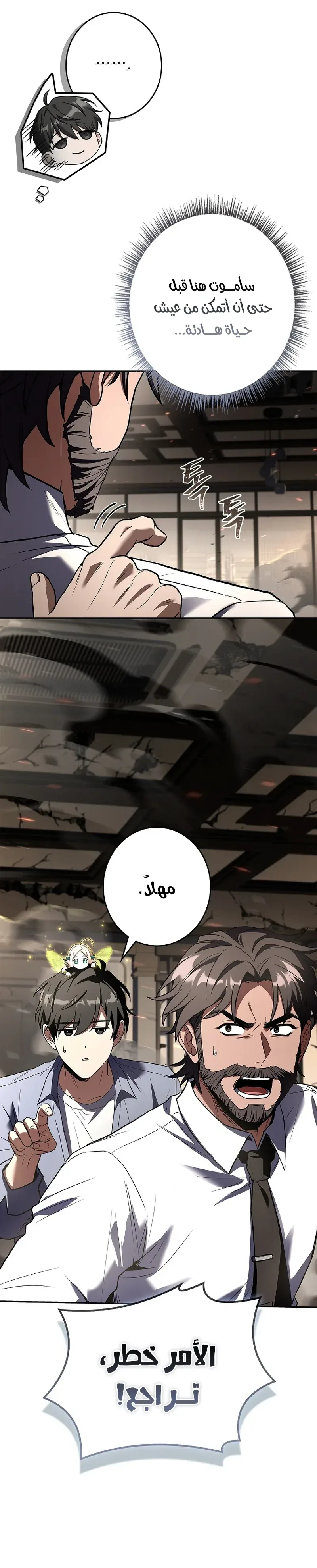 الصفحة 13