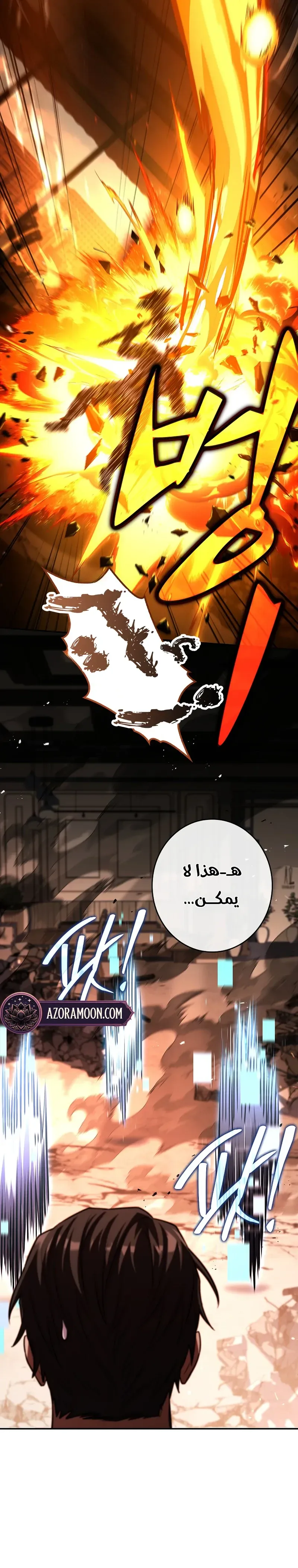 الصفحة 21