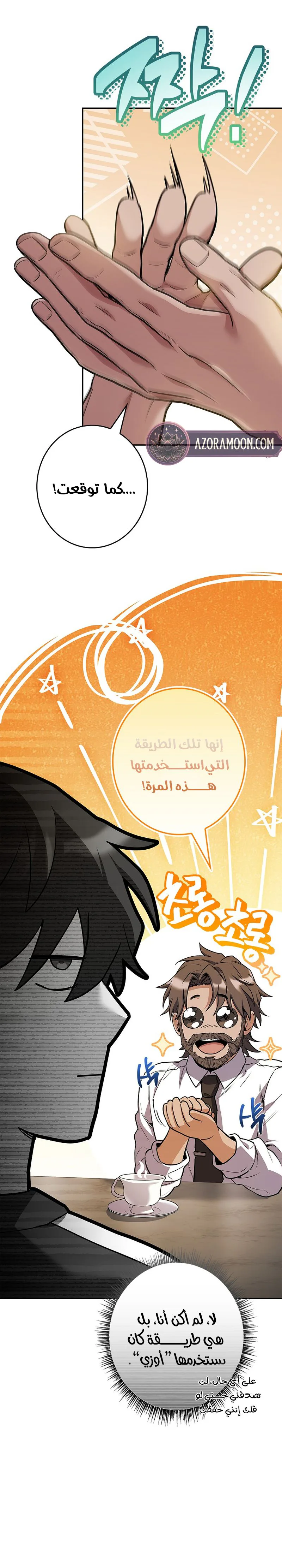 الصفحة 27
