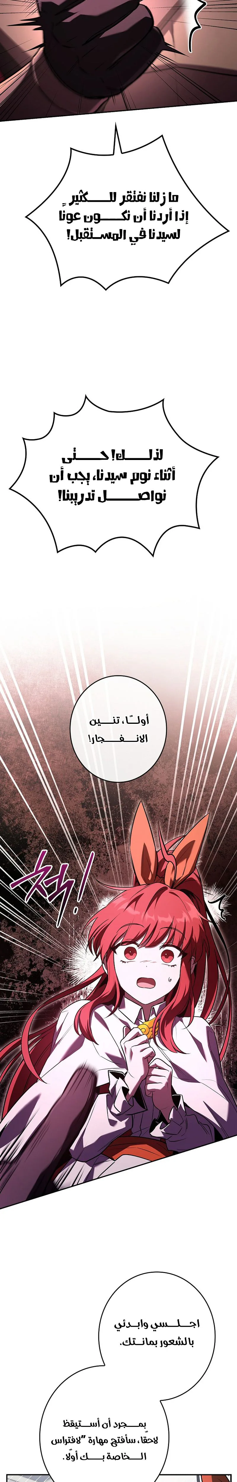 الصفحة 17