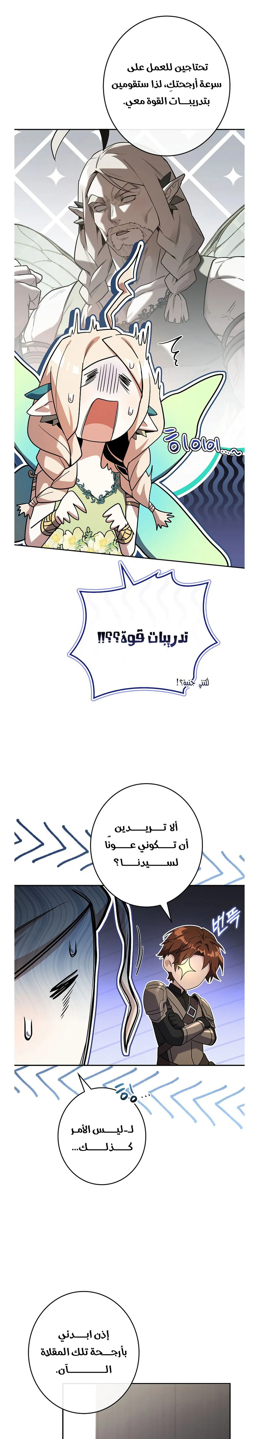 الصفحة 19