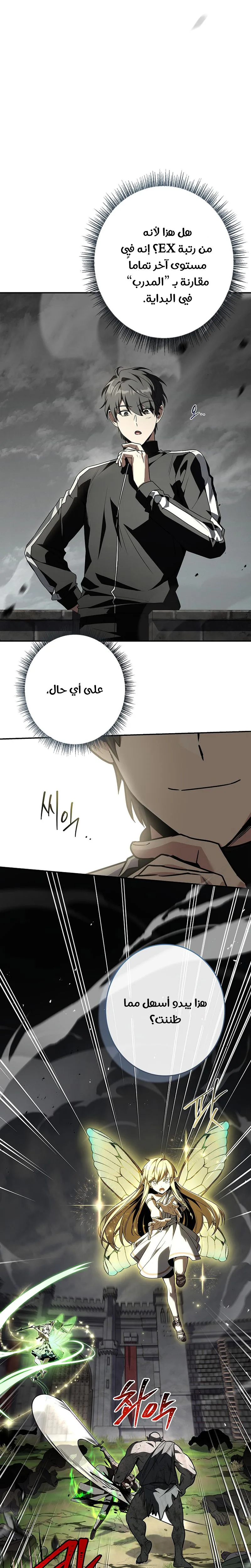الصفحة 13