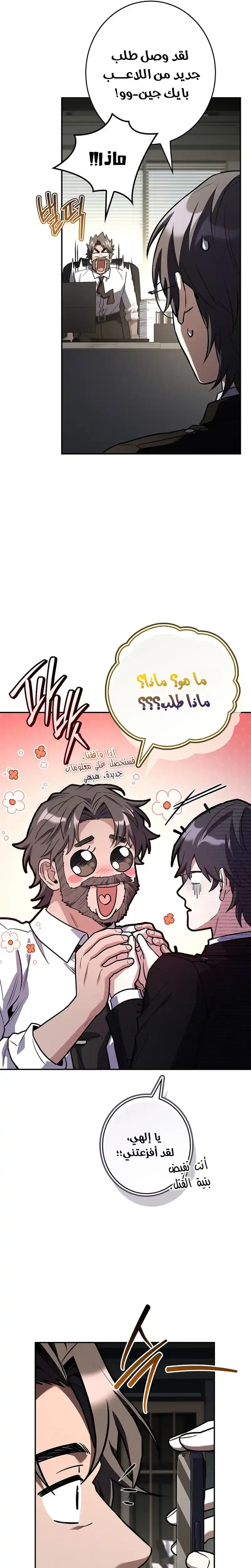 الصفحة 13