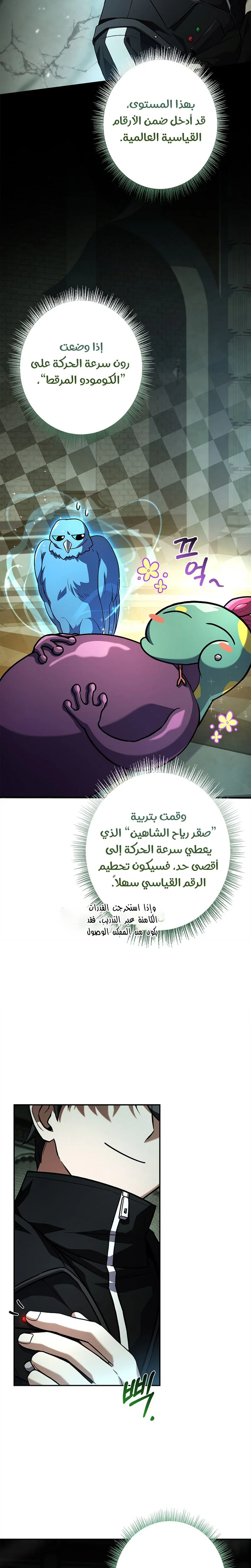 الصفحة 17