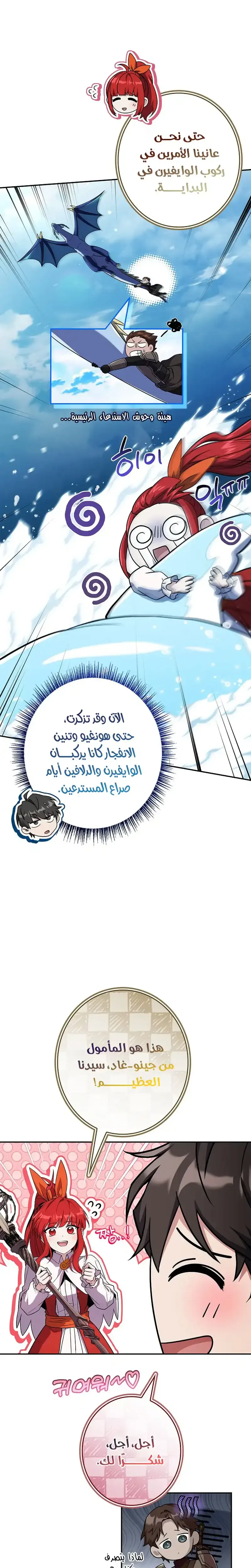الصفحة 17