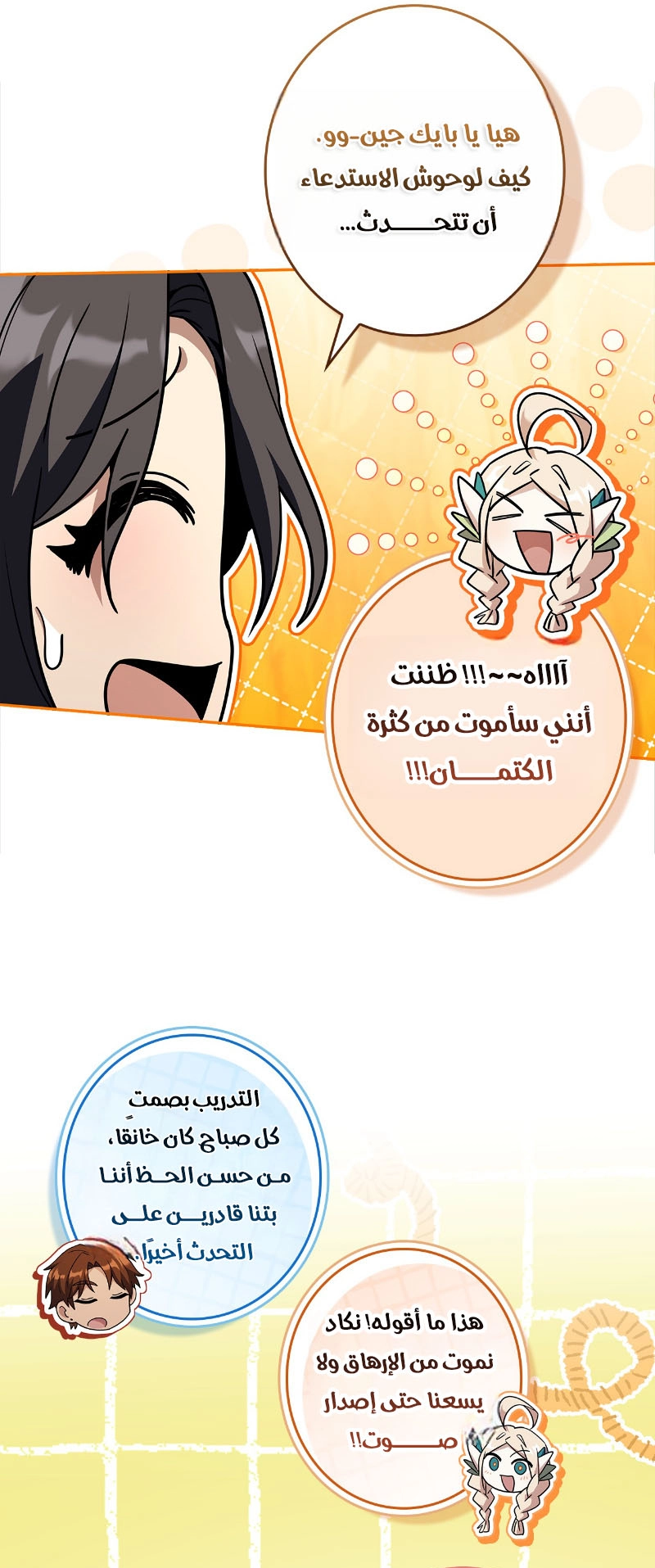 الصفحة 26