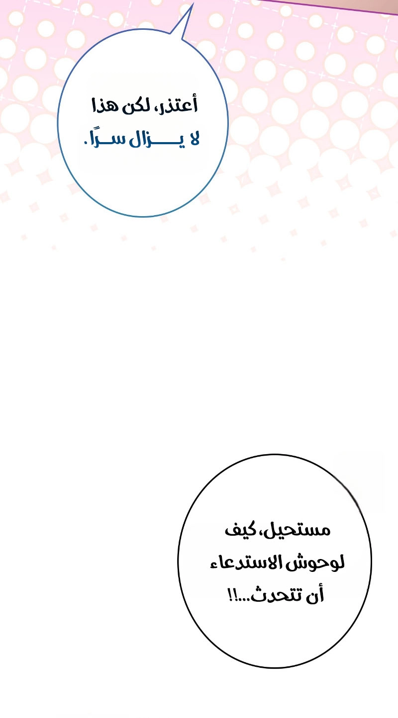 الصفحة 29