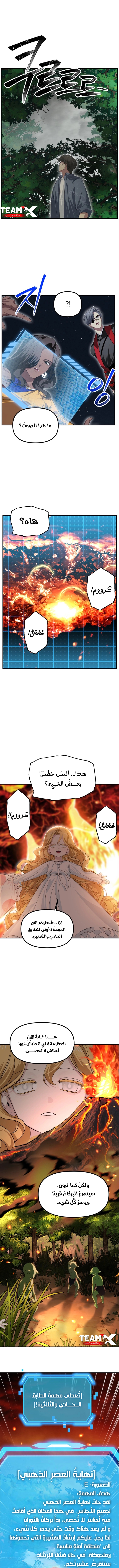 الصفحة 11