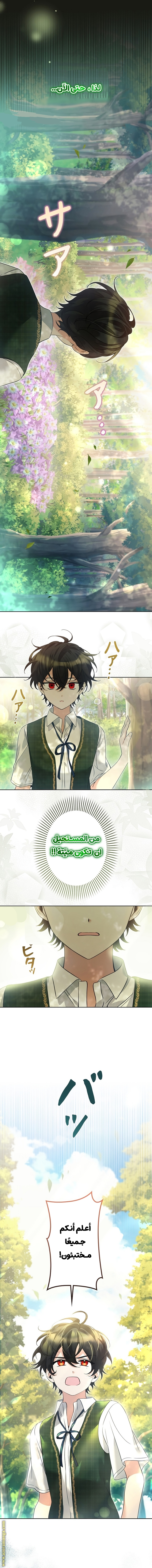الصفحة 5