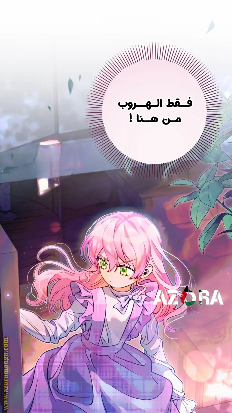 الصفحة 38