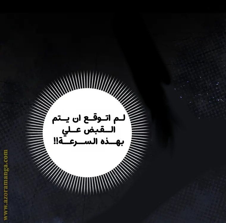 الصفحة 46