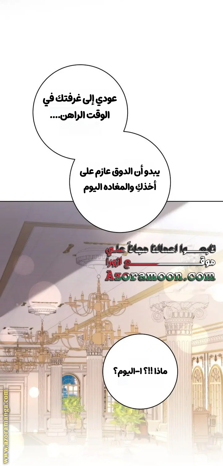 الصفحة 19