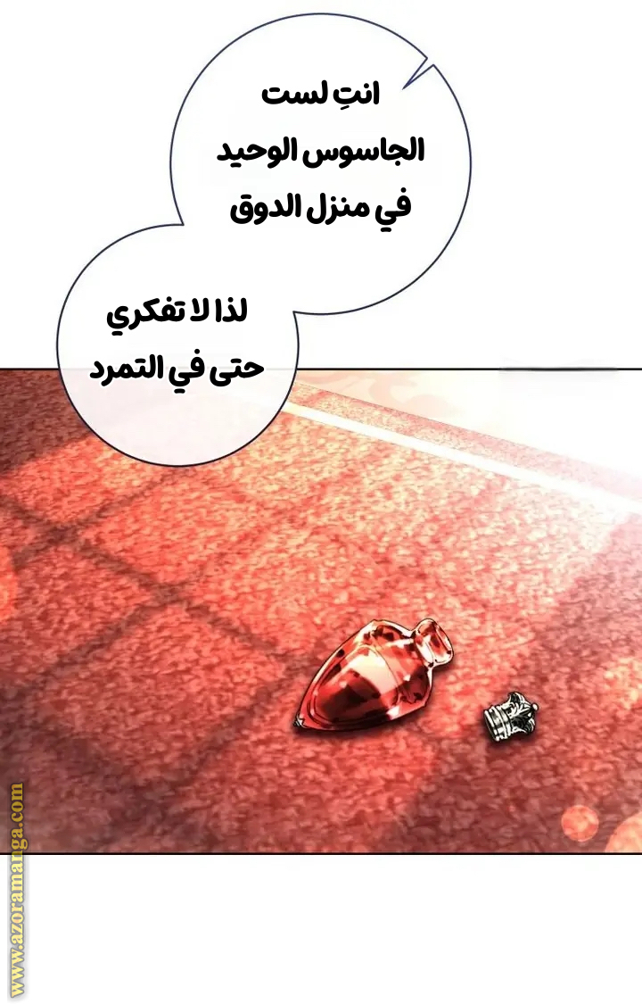 الصفحة 43