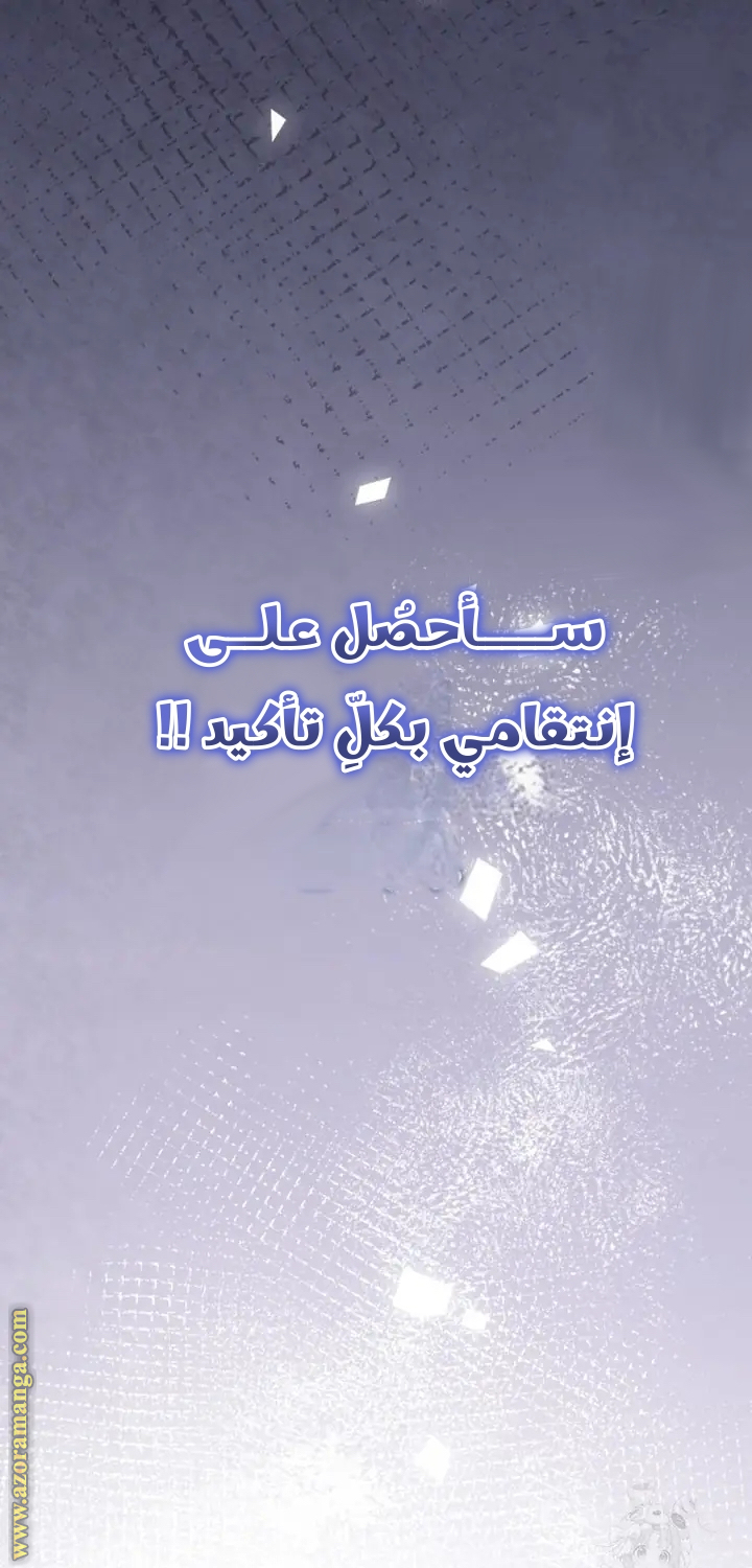 الصفحة 48