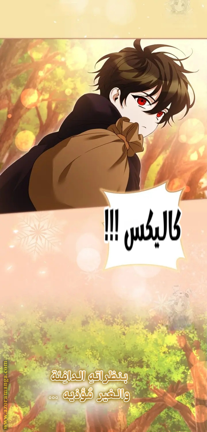 الصفحة 45
