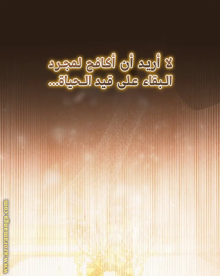 الصفحة 73