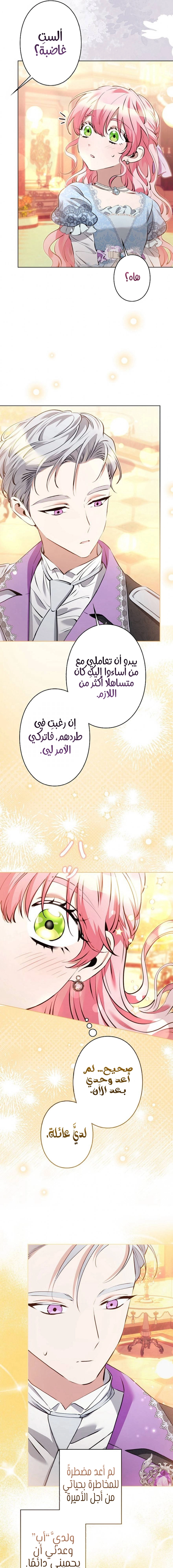 الصفحة 22