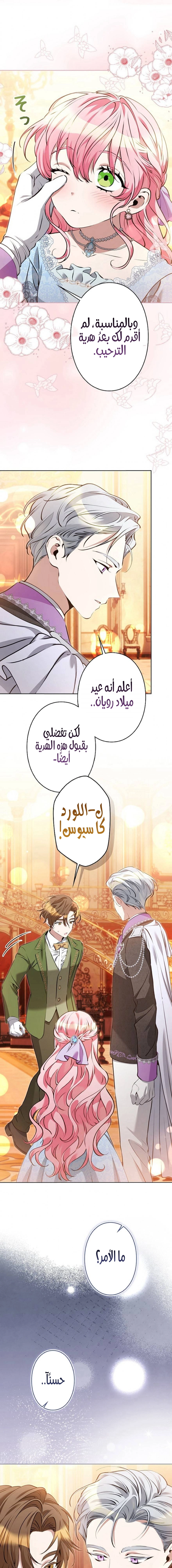الصفحة 24