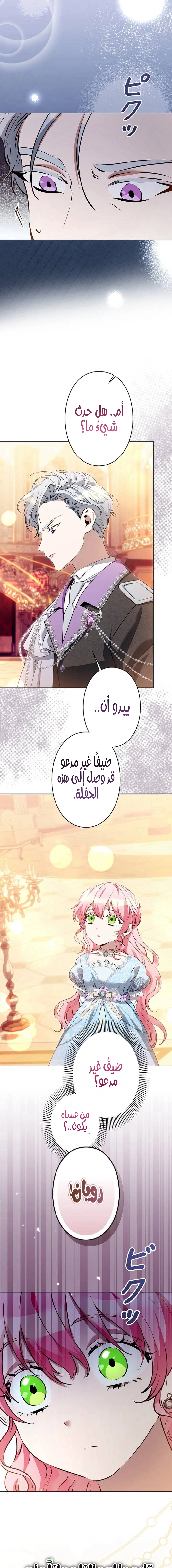 الصفحة 25