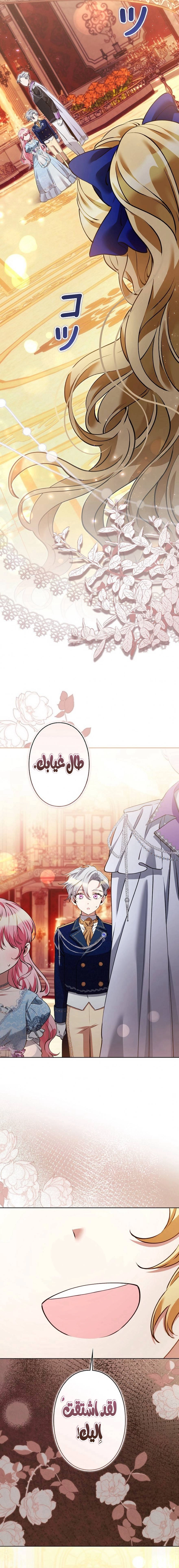 الصفحة 26