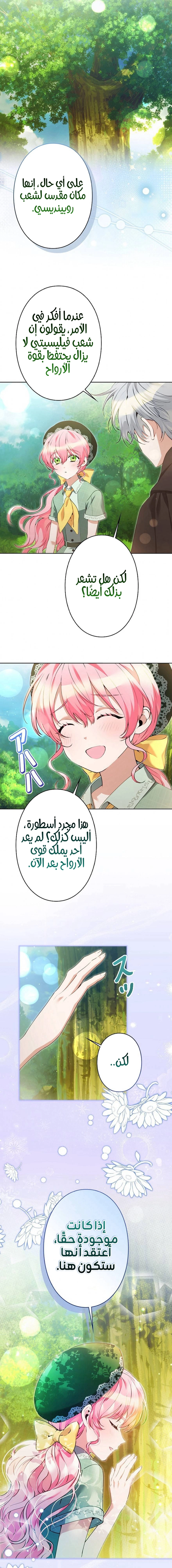 الصفحة 25