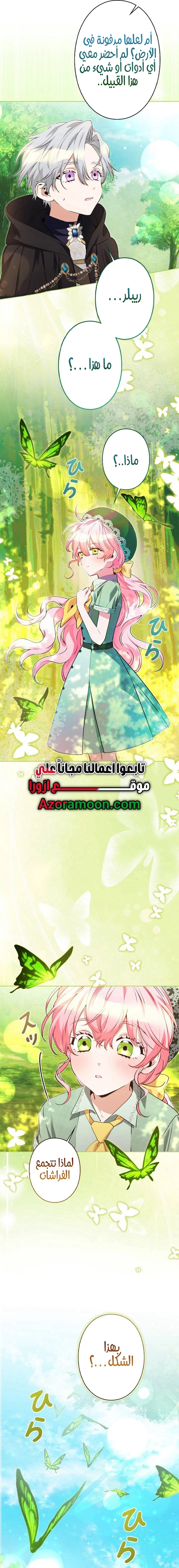 الصفحة 29