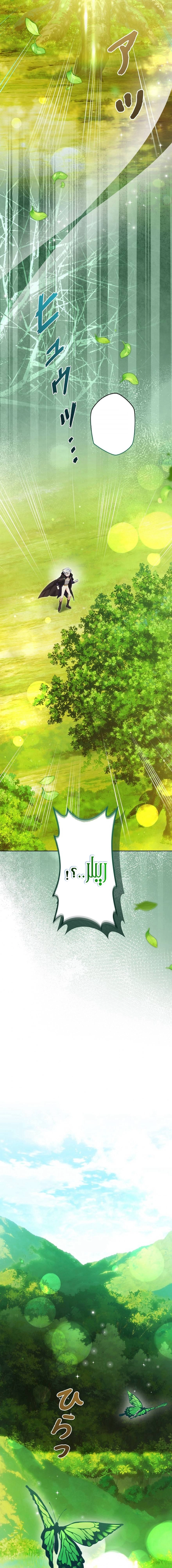 الصفحة 33