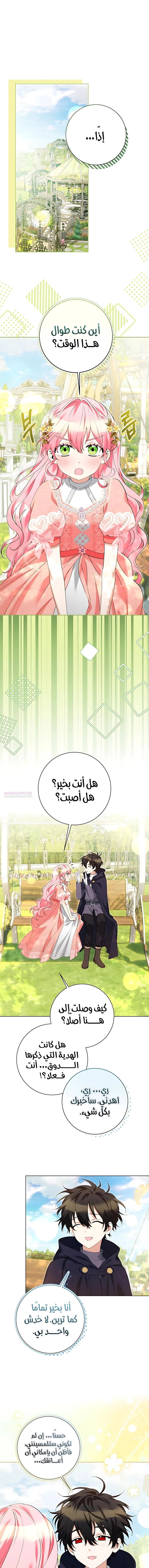 الصفحة 5