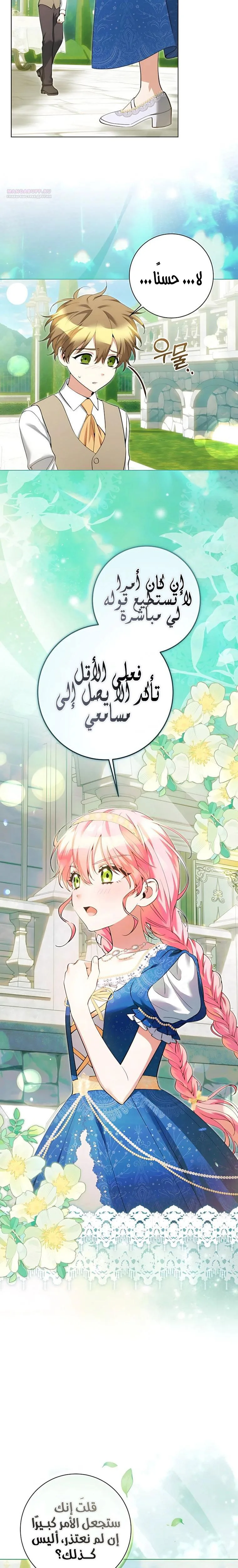 الصفحة 17