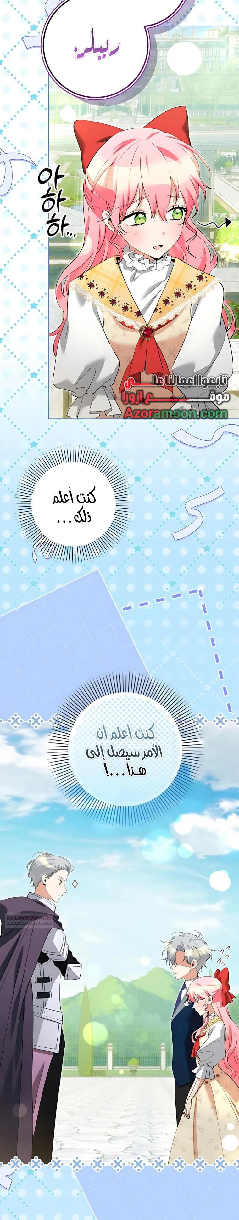 الصفحة 27