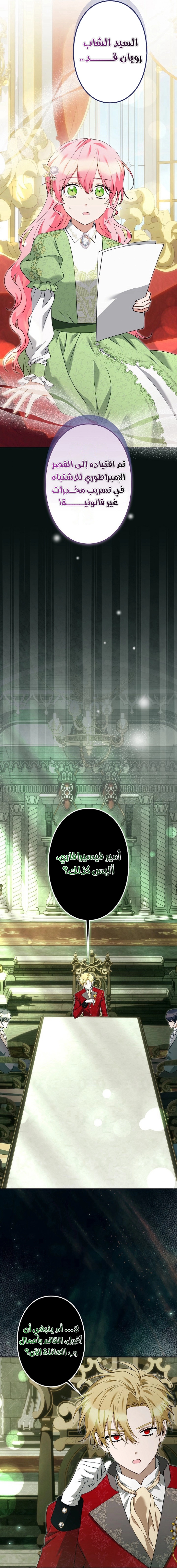 الصفحة 12
