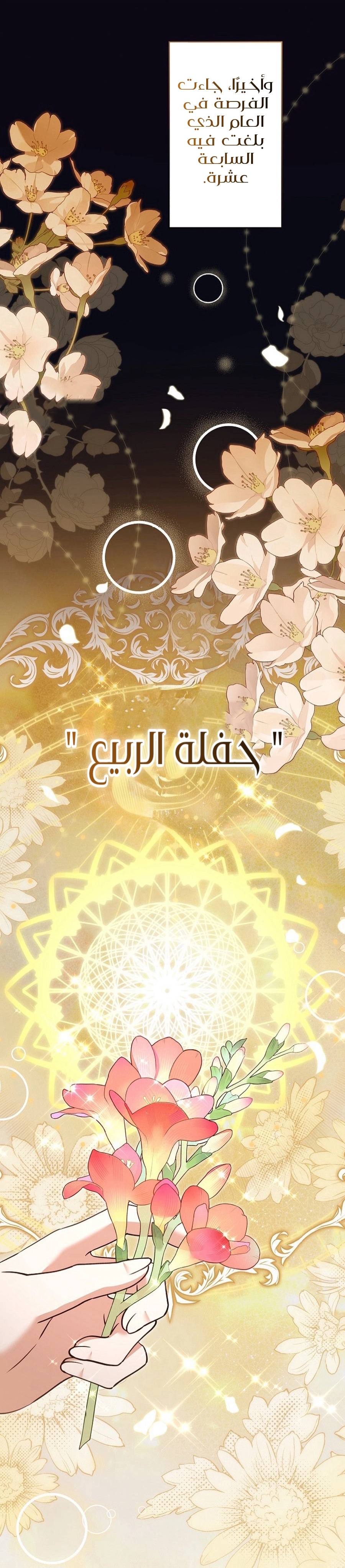 الصفحة 16