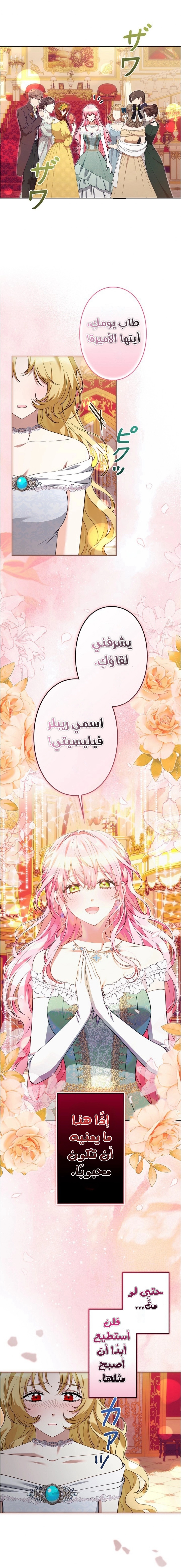 الصفحة 21