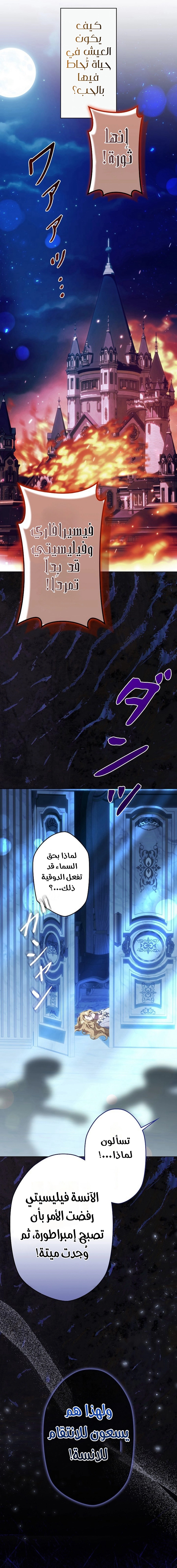 الصفحة 24