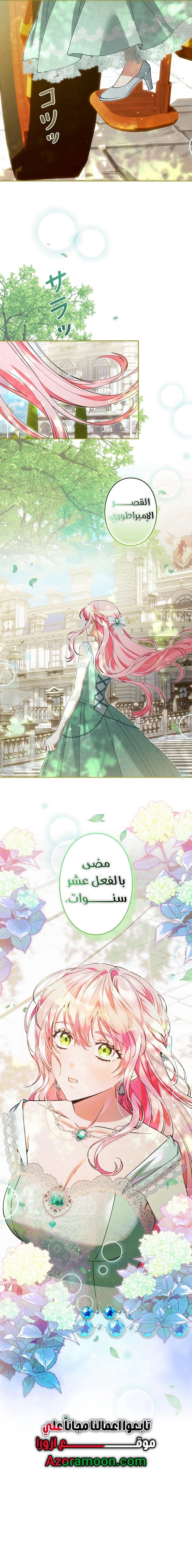 الصفحة 29