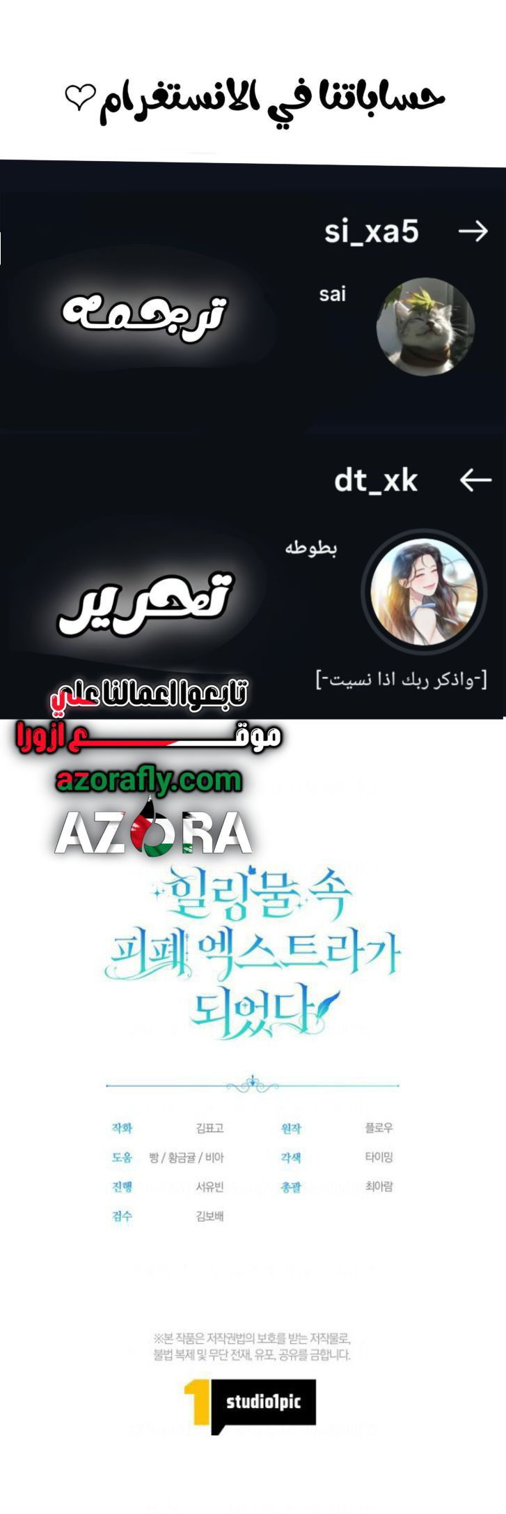 الصفحة 11