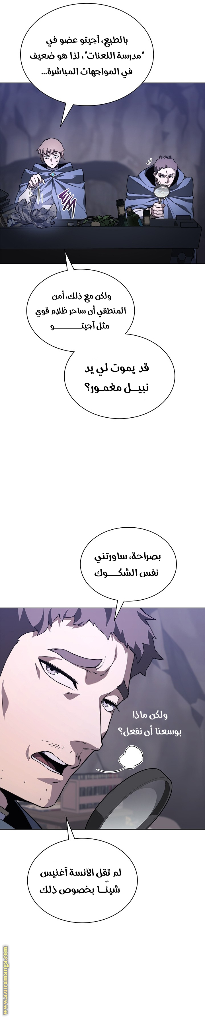 الصفحة 13