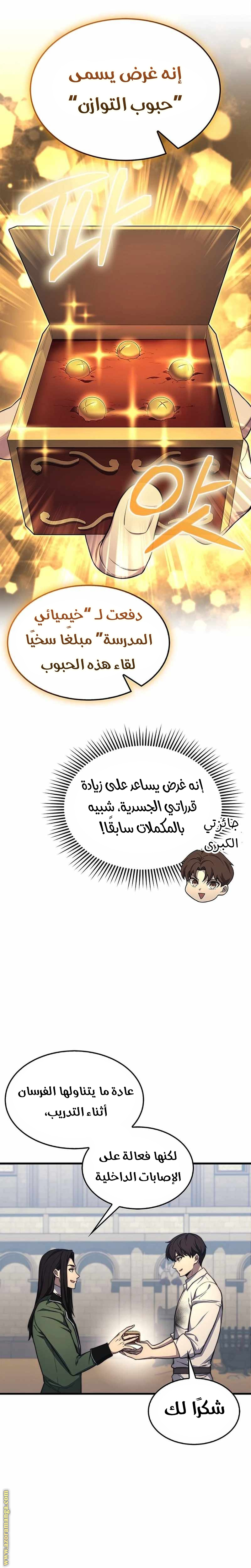 الصفحة 13
