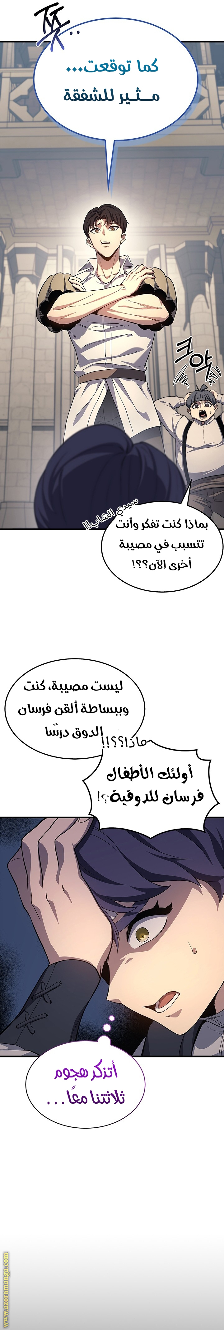 الصفحة 13