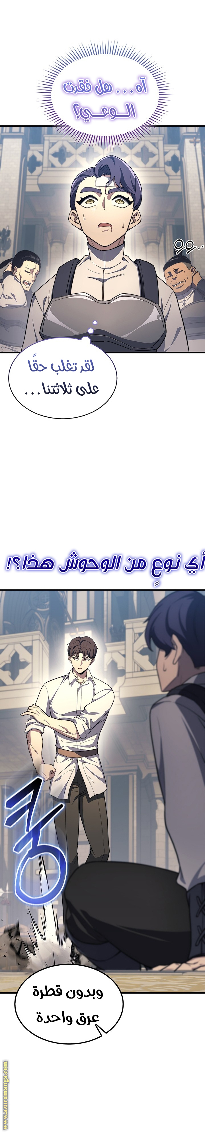 الصفحة 17
