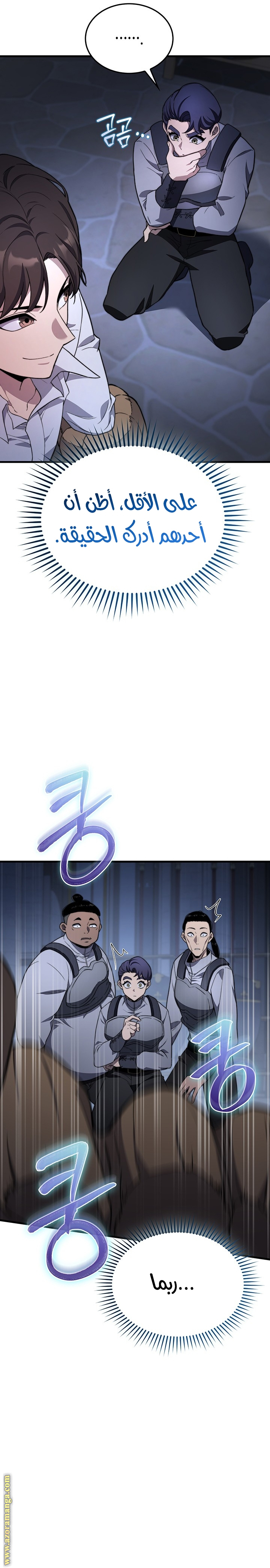 الصفحة 13